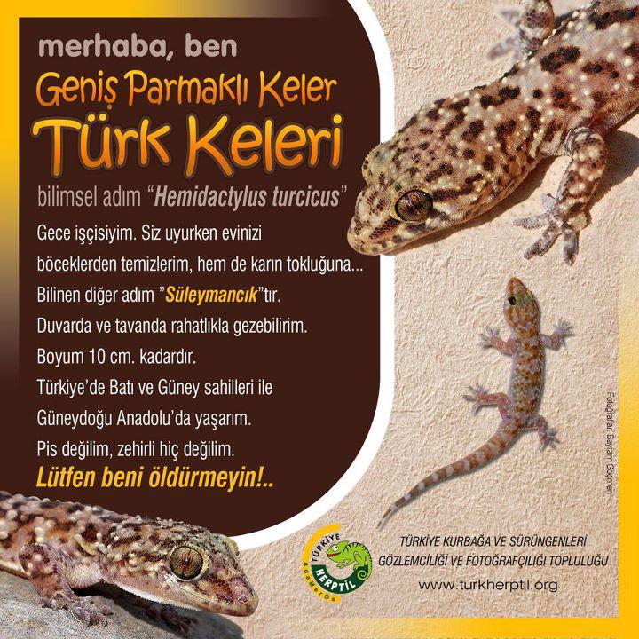  Tuvalette Keler Yakaladık (ss)