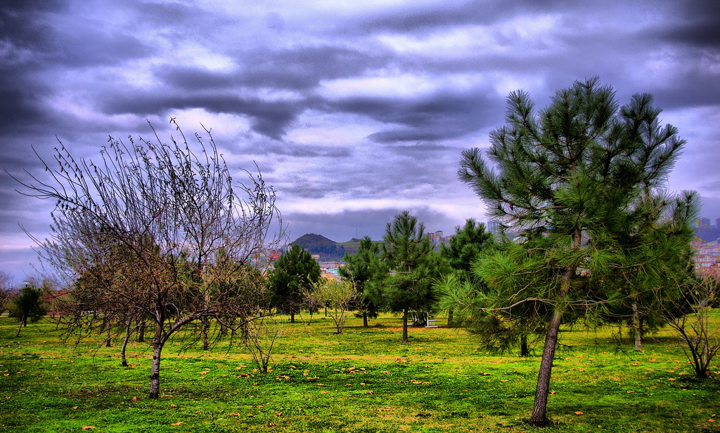  ## HDR FOTOĞRAFLAR ##