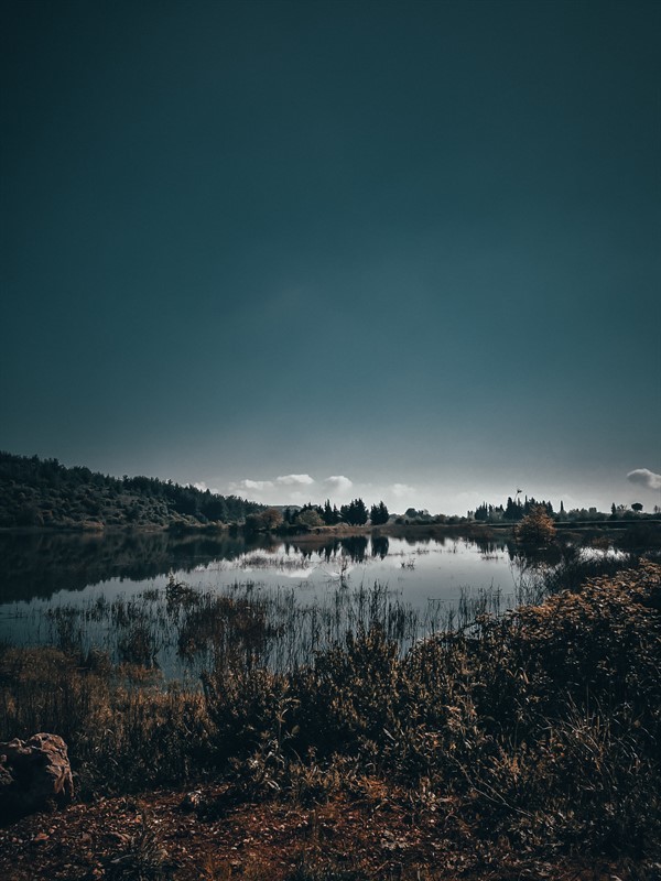 [SERGİ] Cep Telefonu Fotoğrafçılığı