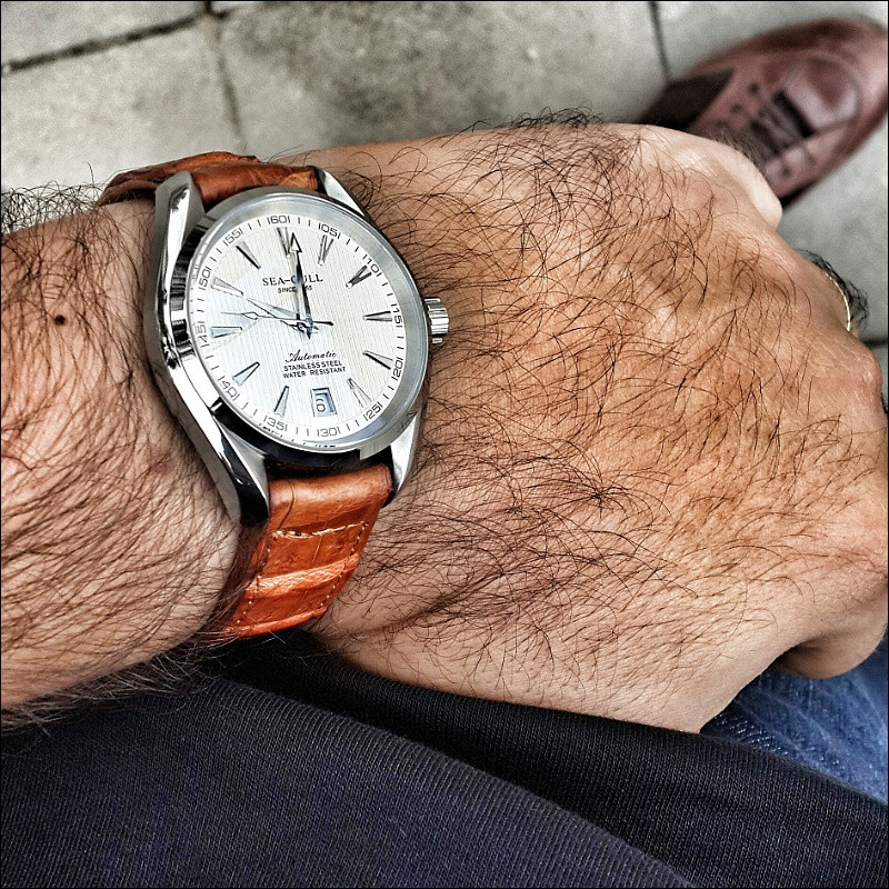  Seagull Seamaster Homage Saat