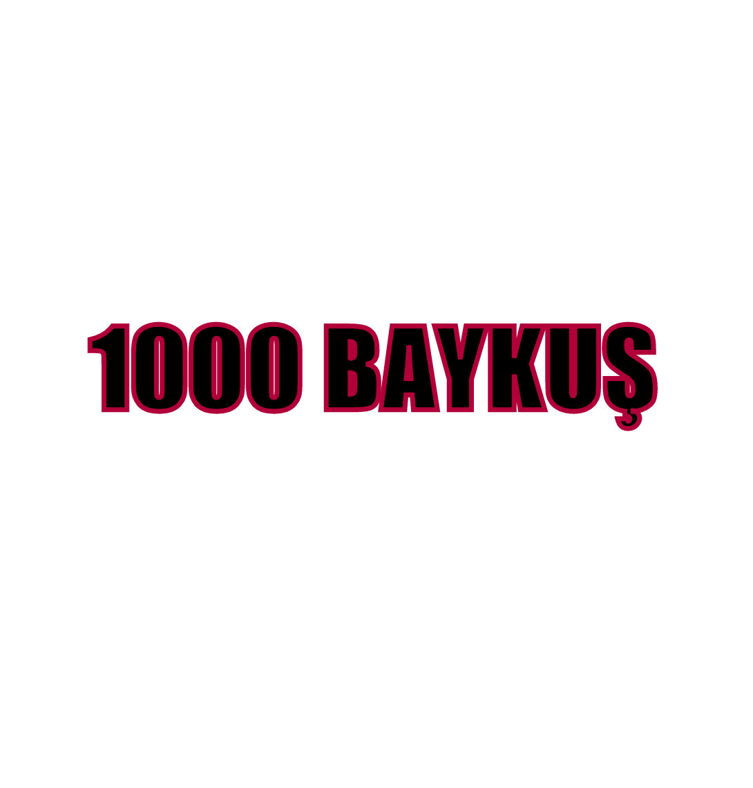  1000 Baykuş Duvar Kağıdı