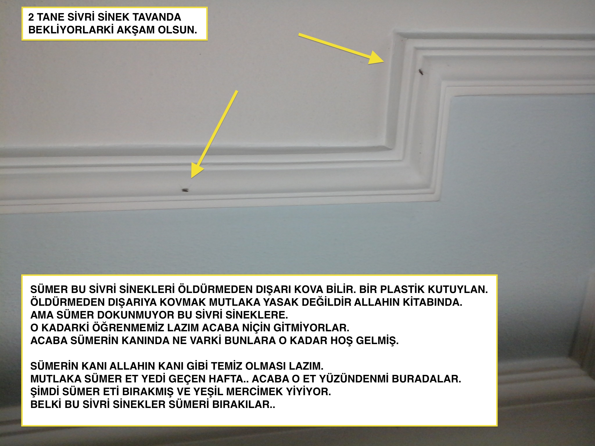  SİLİNSİN