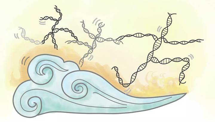 CRISPR yöntemi transpozonlar ile geliştiriliyor