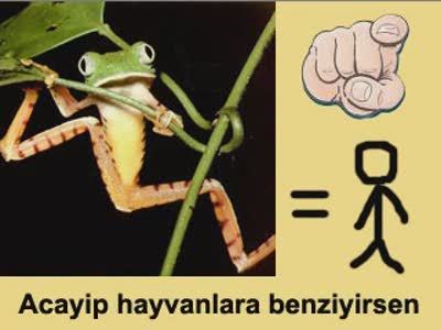  Sakallarımı Kesiyorum, İstediğiniz 2 şekli yapacağım [GÜNCEL SS]