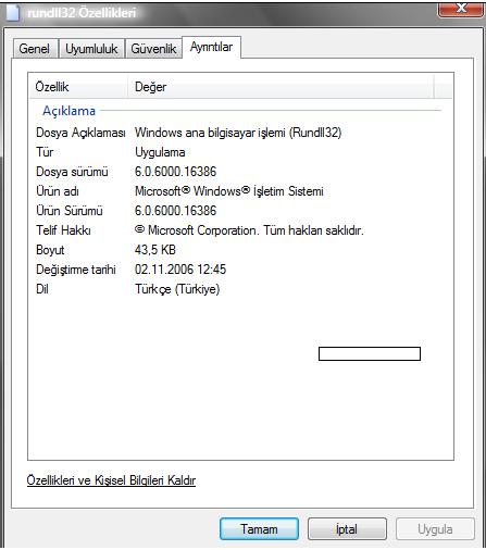  Görev yöneticisinde 2 tane rundll32.exe var