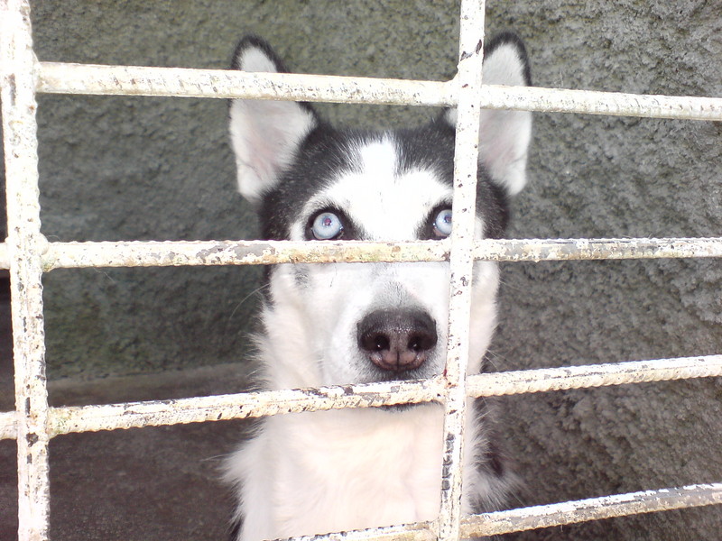  ===>3,2MPLİ k770/K790/K810/C510/P1 FOTOĞRAF PAYLAŞIM ARENASI<===