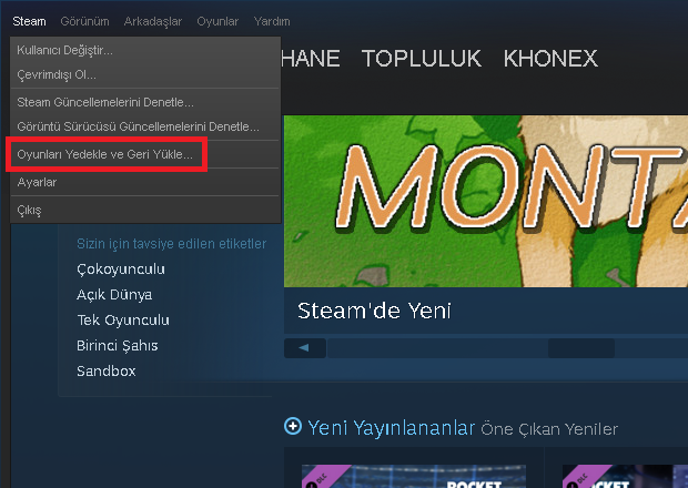  Steam yedek alma sorunu!!!