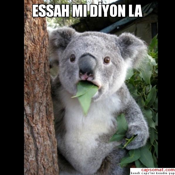  FORUMDAKİ ROBIN SAGE'İ BULANA BARA VERCEM