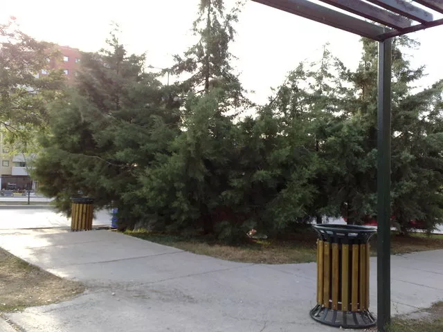  Nokia N82--Sony DSC-W5 Digital Foto Mak. Foto karşılaştırması