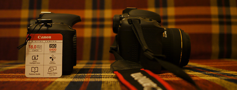  Canon 7D vs Canon 600D vs Panasonic GH1(2) fotoğraflı boyut karşılarştırması