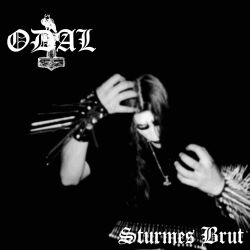  DH Black Metal topluluğu.