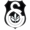  istanbul united logo seri