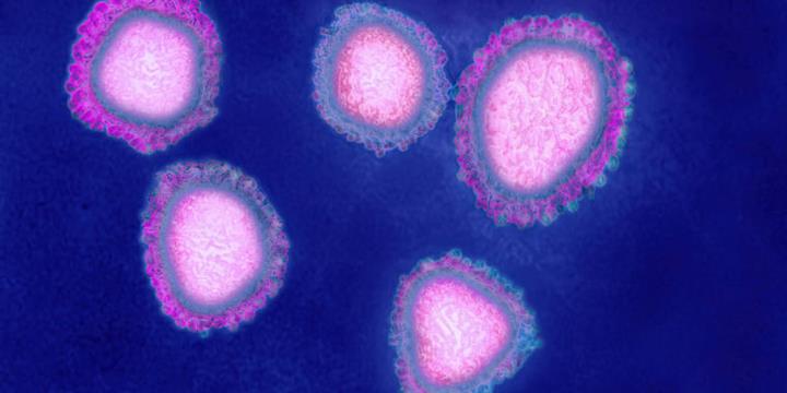 Çin’de ortaya çıkan gizemli hastalık, yeni bir tür virüse işaret ediyor