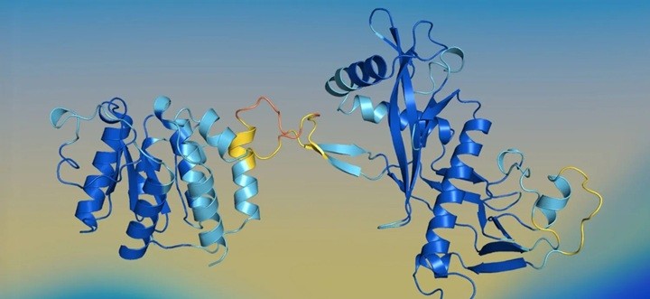 Apple’dan protein tasarımında yeni yapay zeka modeli: SimpleDesign