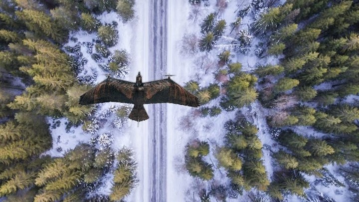 Hollandalı şirket, kartal şeklinde askeri drone üretti