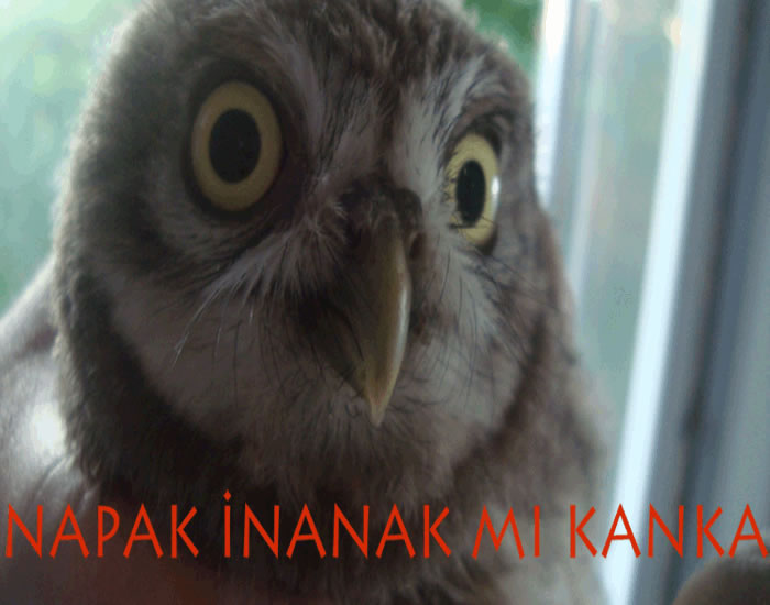 Baba oldum :)