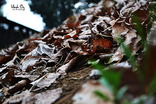  DH itakeit Sergi | 02.07.2013 İtibari İle Güncel