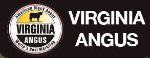  Virginia Angus Steakhouse - Eminönü - Nişantaşı [Tadım Notum ve Fotoğraflar]