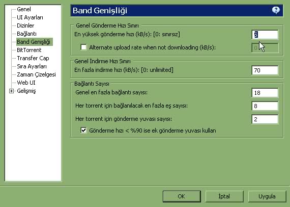  Torrent açınca donmalar başlıyor?