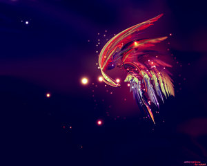  dh TEMA,WALLPAPER ve SKIN Merkezi