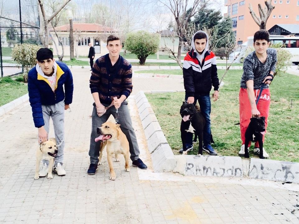  Lisedeki tüm tipleri tanımlıyorum