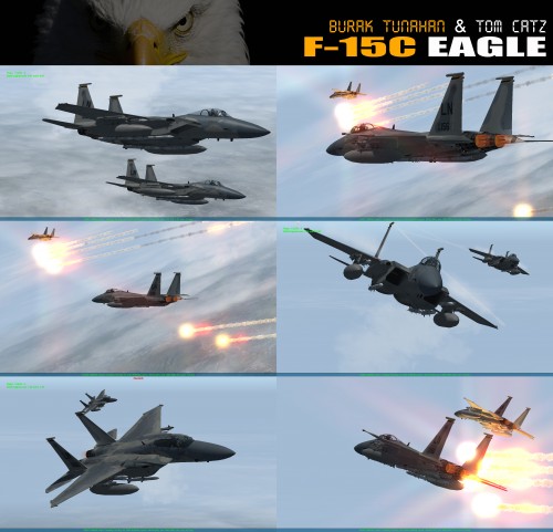 Digital Combat Simulator (DCS) World [ANA KONU]