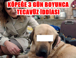  Kangal Alır ?