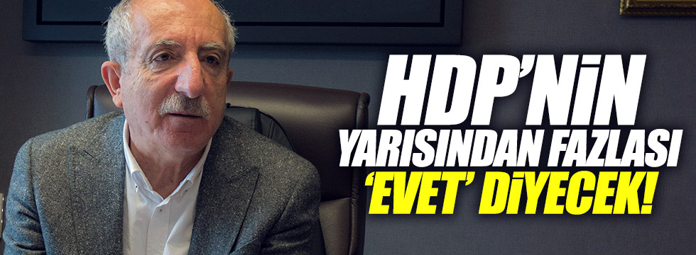  AKP'li Miroğlu: 'HDP'lilerin Yarısından Fazlası Evet Diyecek'