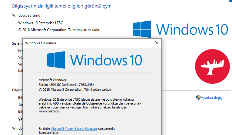 Windows 10 Kullanılır Mı?