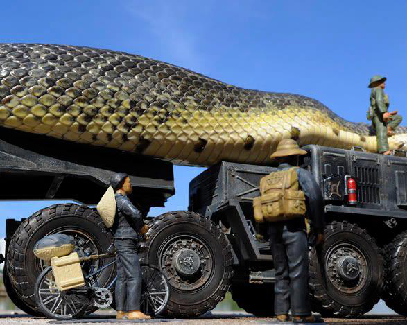  Dünyanın en uzun yılanı 43 metre boyunda