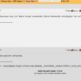  Donanım Haber Bütün SS ler..Efsaneler