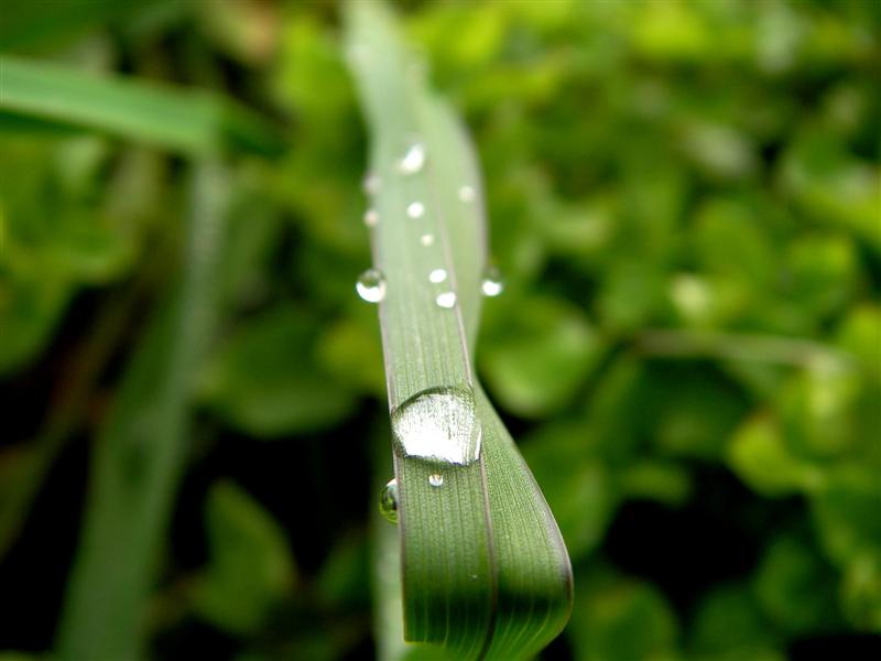  MAKRO MAKRO VE SADECE MAKRO...!