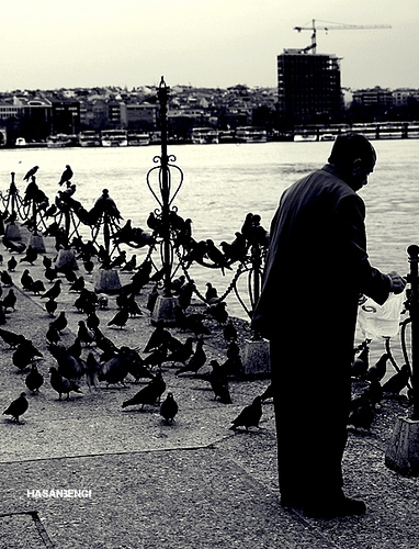  Sokak Fotoğrafçılığı, paylaşım..