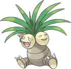  Hadi Herkez Pokemon İnfinitydeki Takımını Yazsın :D