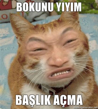  Ahaaa Faile Gel :D