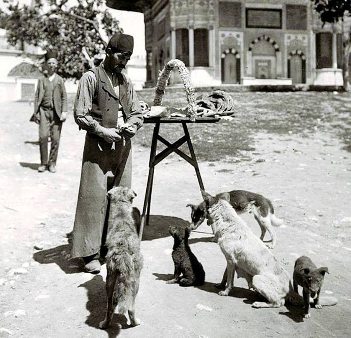  çooookk eski siyah beyaz Osmanlı-Türkiye resimleri...