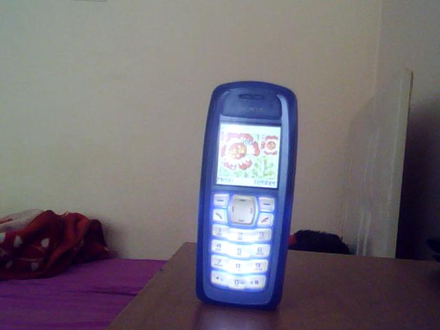  Alınık Nokia 3100