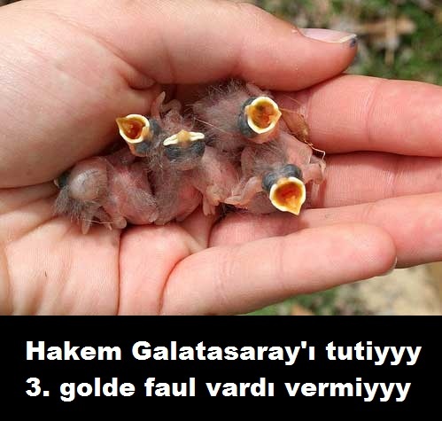  Galatasaray - Beşiktaş Maçı Görselleri
