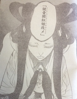  Bleach Manga (Anime için Spolier olabilir.)