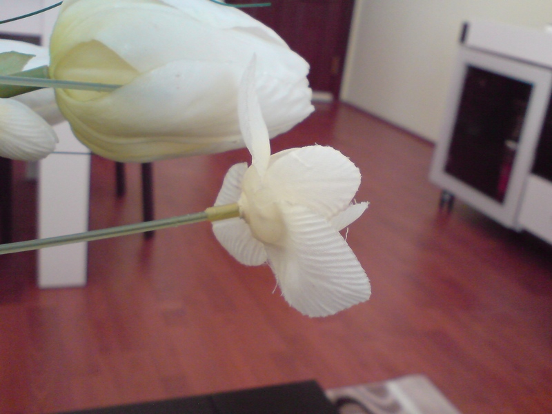  :..K810 v.s K850 Fotoda Koz Paylaşımı..: