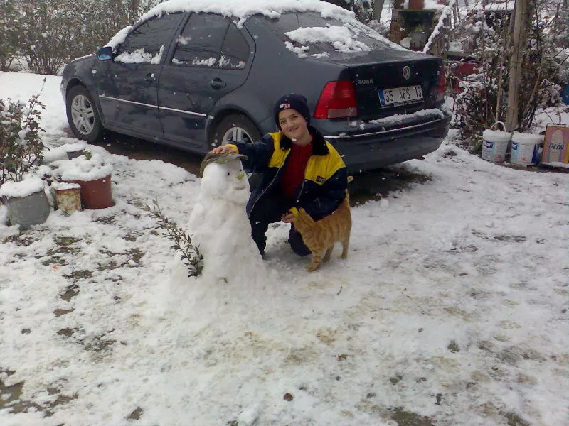  BORACILAR