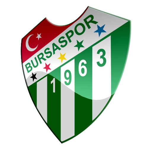  Bursaspor 2011-2012 Spor Toto Süper Lig