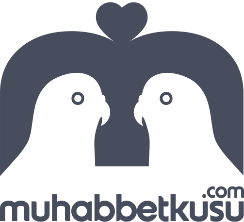 Türkiye'nin En Büyük Muhabbet Kuşu Sitesi Açıldı