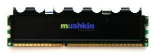  SICAK!! Mushkin 1066 Mhz 2x1 GB Performans Serisi Ram