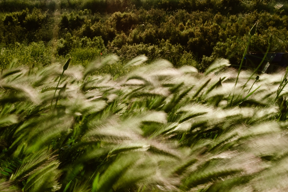  IamConquest | Amatör Fotoğraf Sergisi | SÜREKLİ GÜNCEL | GÜNCELLENDİ - 31.07.14 -