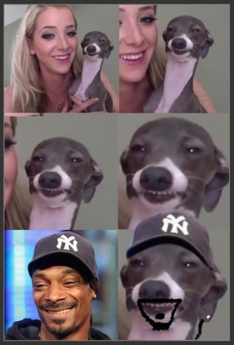  Zenci fotoğrafı lazım.