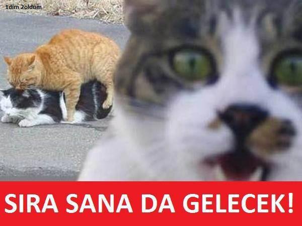  İçinden Gelen Bir Resim Paylaş