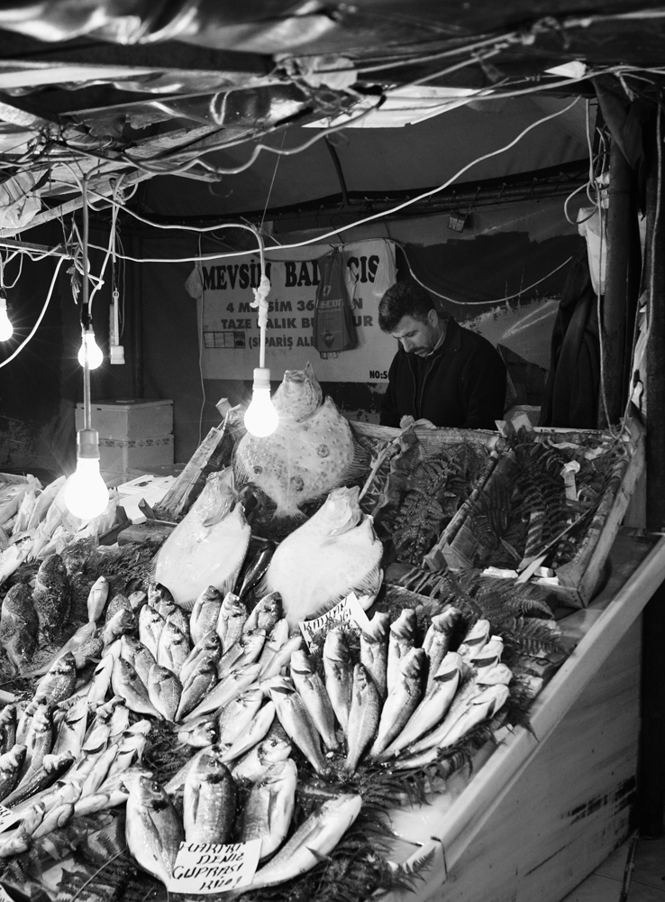  Sokak Fotoğrafçılığı, paylaşım..