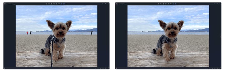 Windows Fotoğraflar'a yapay zekalı silgi özelliği geldi