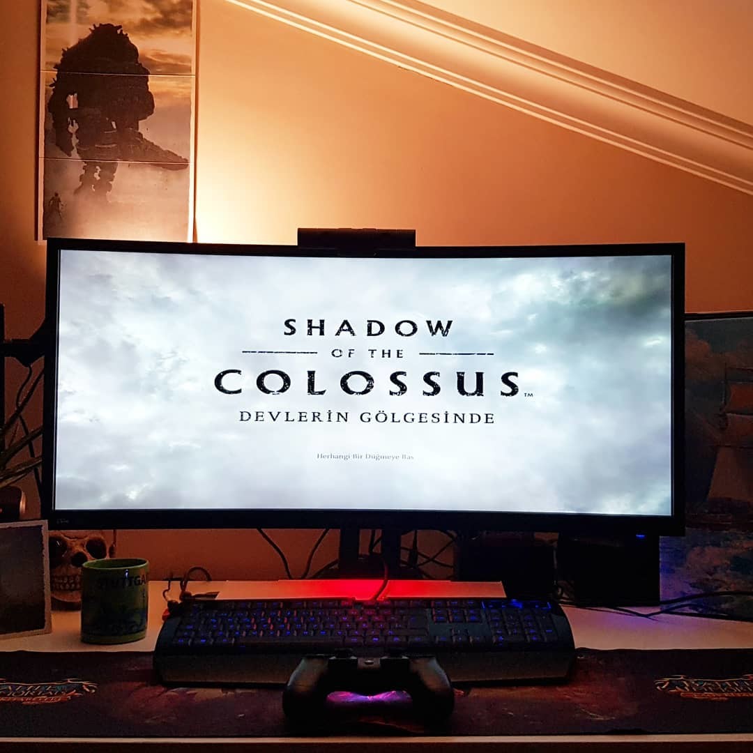 SHADOW OF THE COLOSSUS REMAKE (PLAYSTATION ANA KONU)